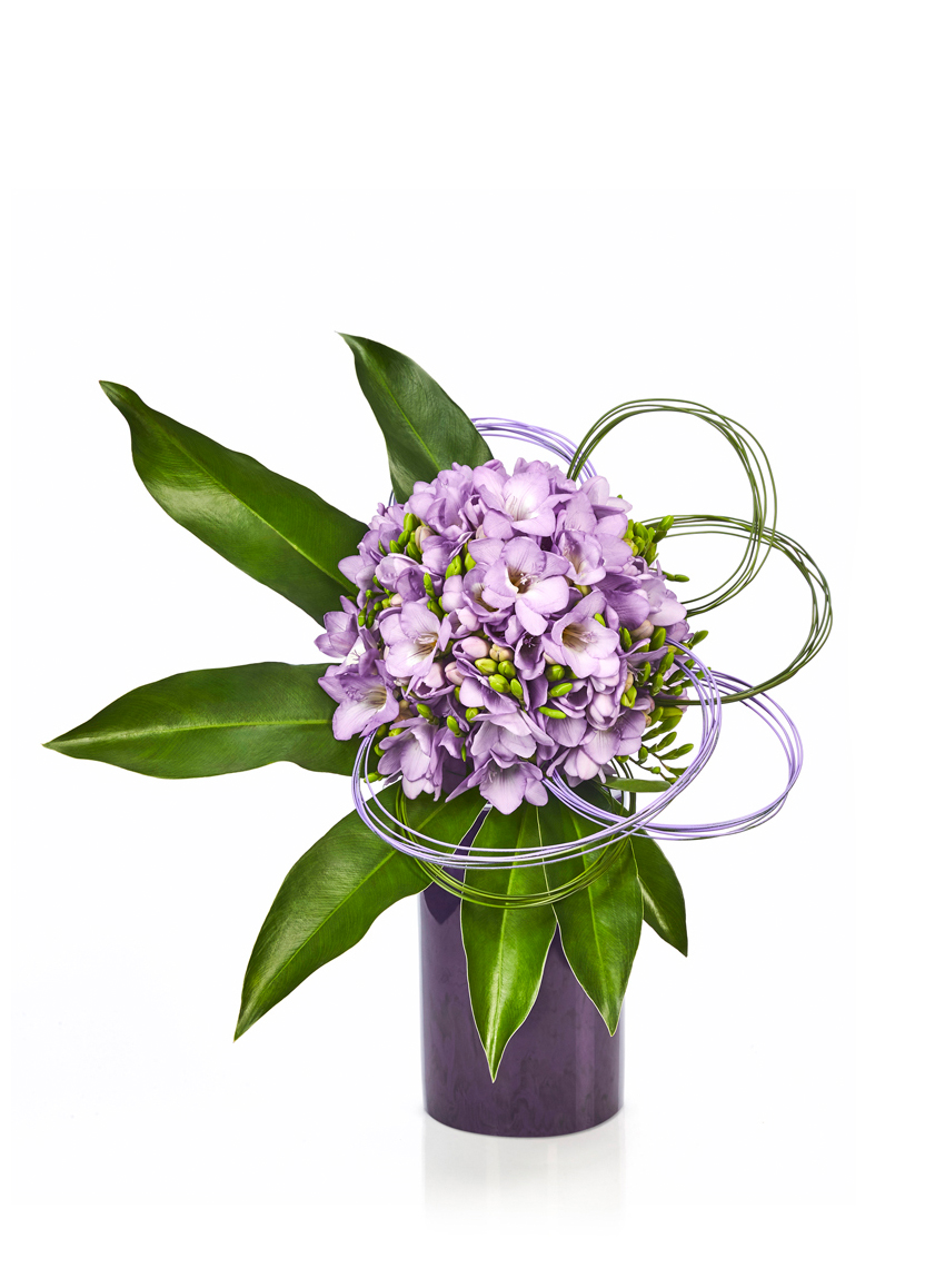 FRESIA LILLA, foglie di philodendro e flexigrass su vaso in resina viola di Armani Fiori.