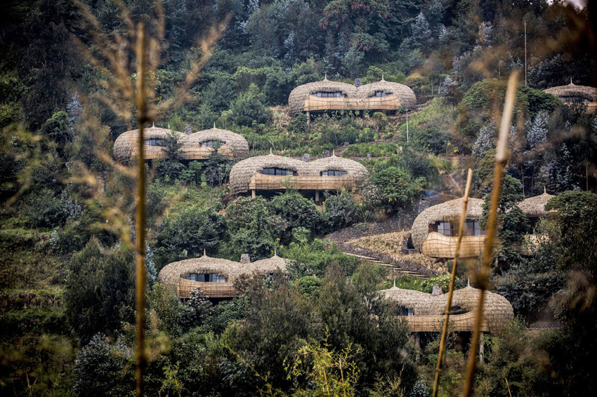 Wilderness Bisate_29