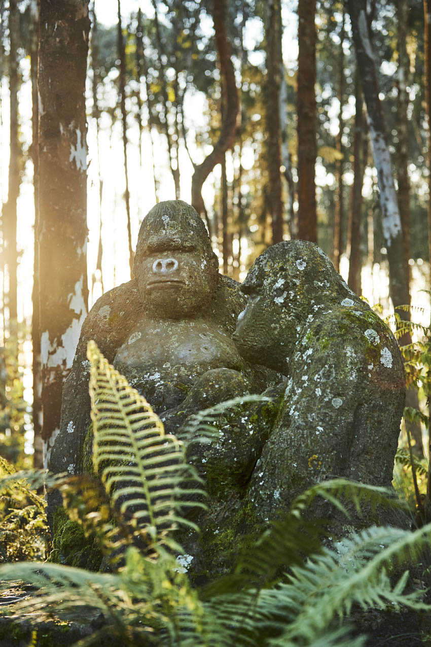 oo-gorillasnest-exterior-statue-0008-master