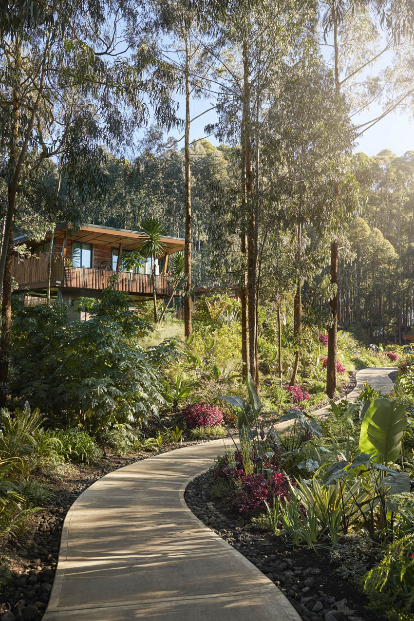 oo-gorillasnest-exteriors-villa-17175-master