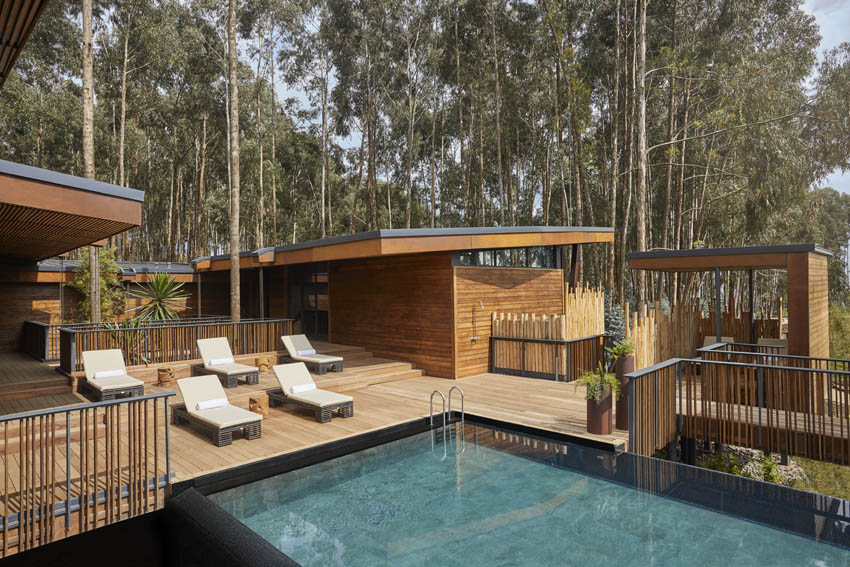 oo-gorillasnest-pool-pool-wide-3117-master